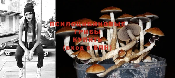 гашишное масло Новодвинск