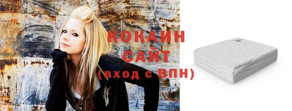 молекула духа Новозыбков