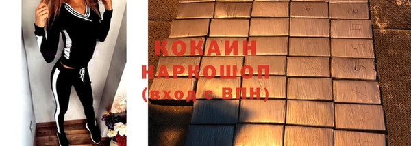 молекула духа Новозыбков